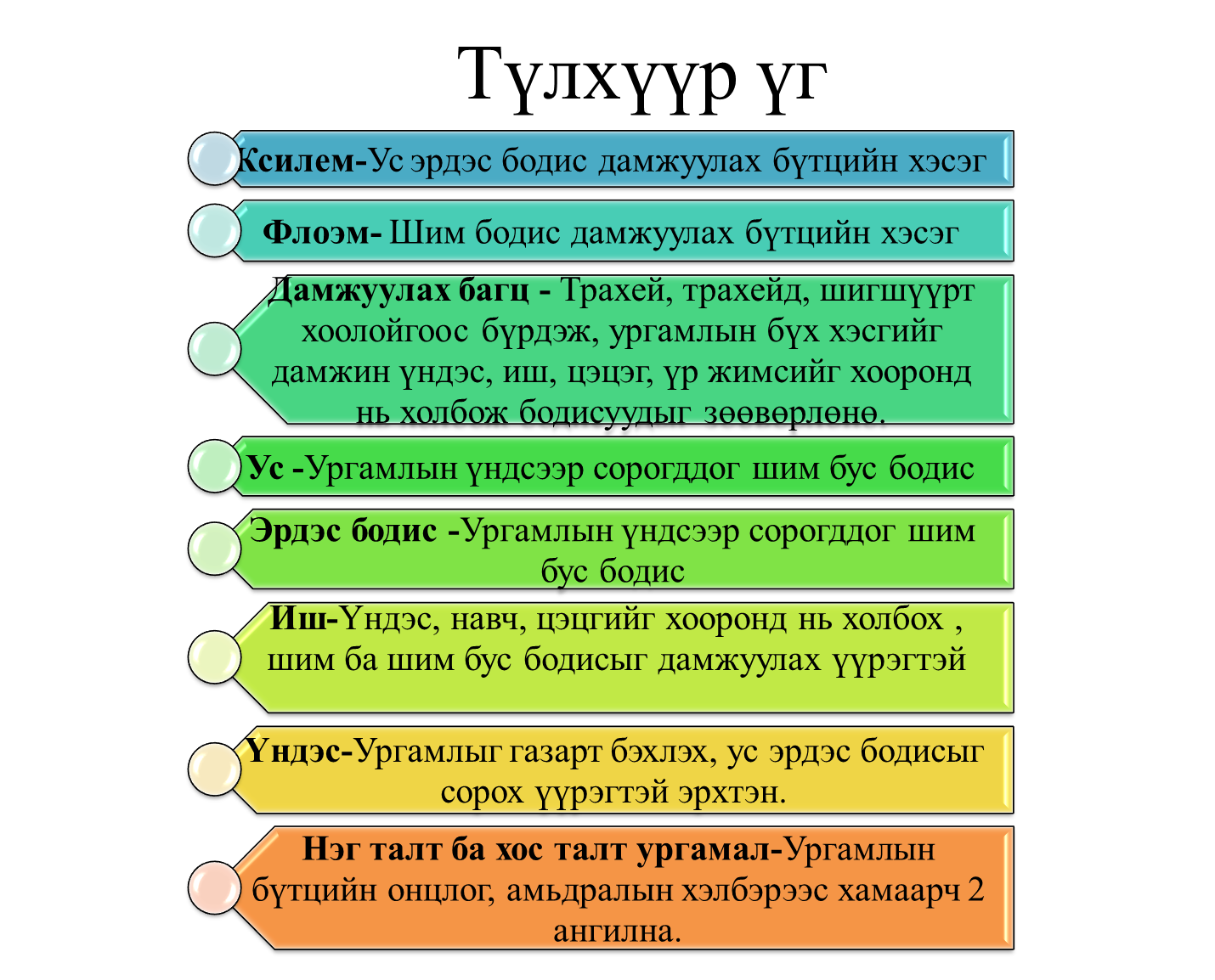 Мэдлээ | Цахим контент